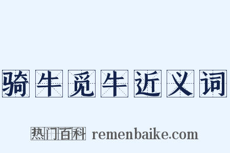 骑牛觅牛近义词是什么意思的图片